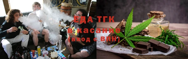 индика Медногорск