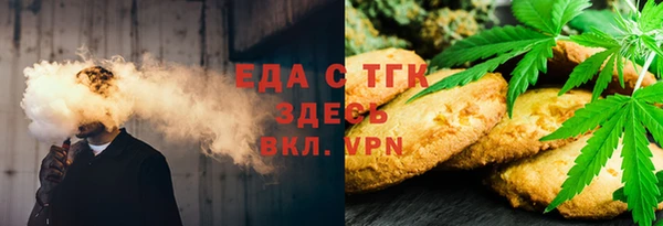 индика Медногорск