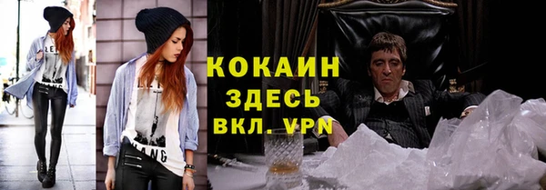 индика Медногорск