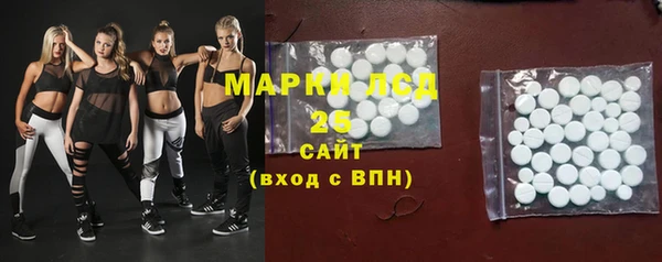 индика Медногорск