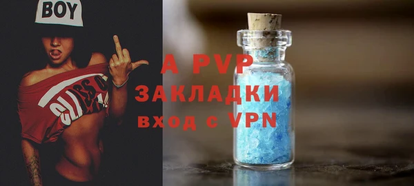 индика Медногорск