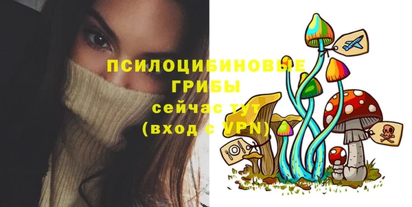 МДМА Медвежьегорск