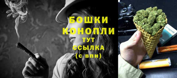 индика Медногорск