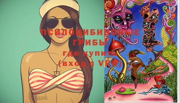 МДМА Медвежьегорск