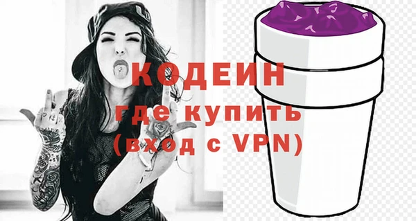 индика Медногорск