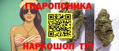 PSILOCYBIN Жуковский