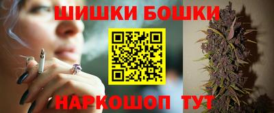 стаф Заводоуковск