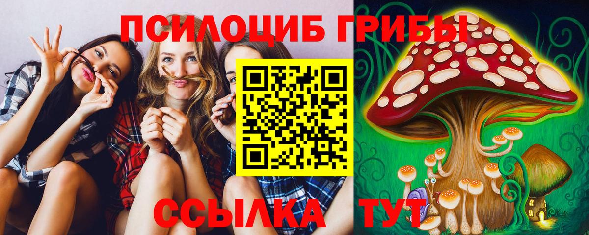 Галлюциногенные грибы прущие грибы Петрозаводск